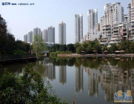 鲁能新城十二街区